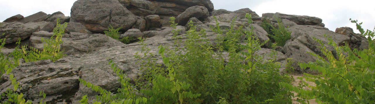 photo_2019-11-14_20-09-58