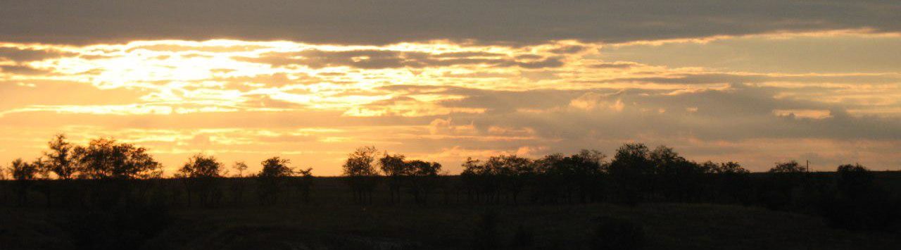 photo_2019-11-14_20-10-05