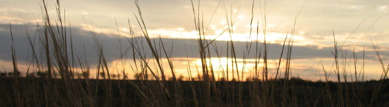 photo_2019-11-14_20-10-09