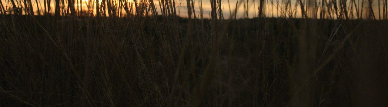 photo_2019-11-14_20-10-13