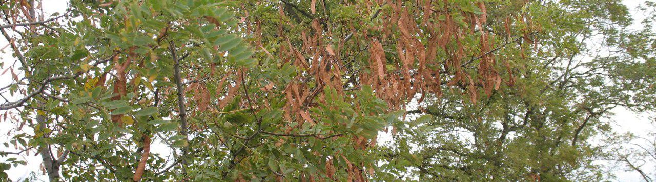 photo_2019-11-14_20-10-16