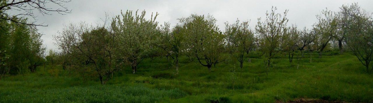 photo_2019-11-14_20-10-49