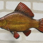 Трофейний золотий карась