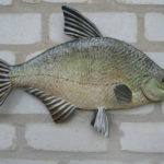 Лящ дніпровий