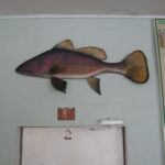 Темний горбиль