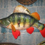 Трофейний окунь