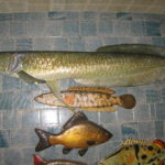 Арована (сверху)