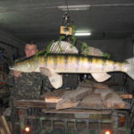 Трофейний дніпровий судак