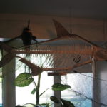 Скелет ляща. Каховка 29кг