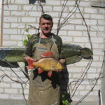 Золотий карась