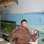 Чорноморський калкан