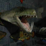 Риба вампір