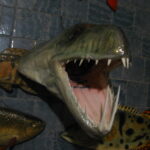 Риба вампір.