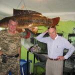 Трофейний дзеркальний короп