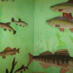 Розпис стін музею Іхтіології