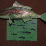 Найрідкісніщі риби планети: "риба в рибі"