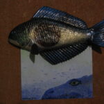 Морське око